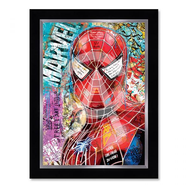 Image encadrée – Romaric – Spiderman – 50x70cm