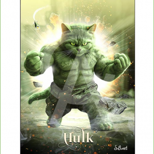 Impression Alu Dibond – Sylvain binet – Hulk – 20x28cm