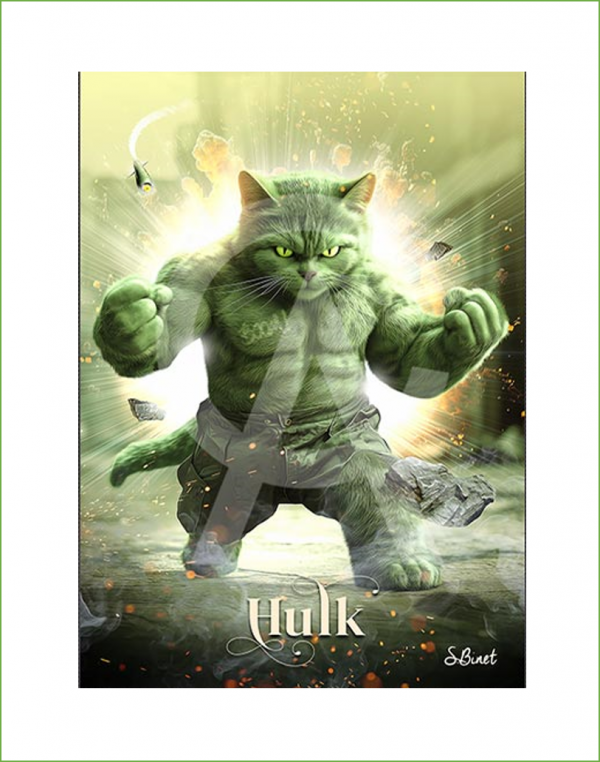 Impression Alu Dibond – Sylvain binet – Hulk – 20x28cm