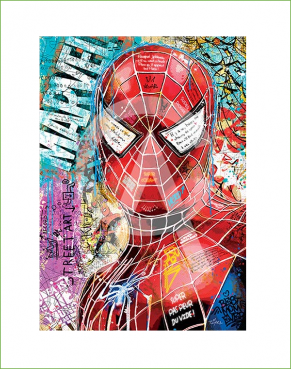 Impression Alu Dibond – Romaric – Spiderman – 20x28cm